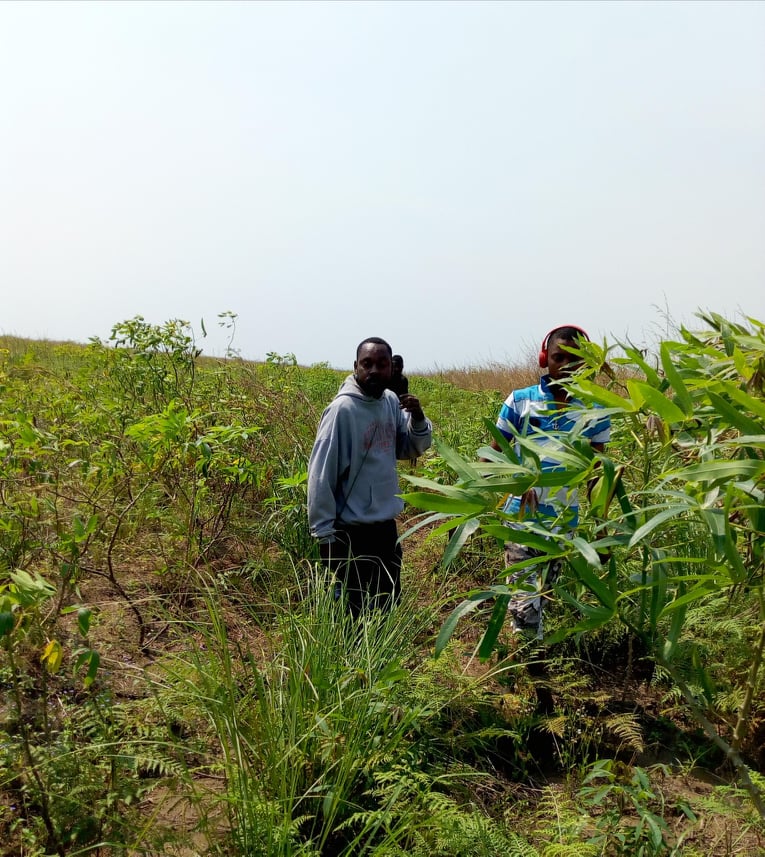 Encadrement des enfants orphelins par PERMAFRIKA dès 2019